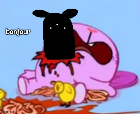 idiot bonjour | image tagged in idiot bonjour | made w/ Imgflip meme maker