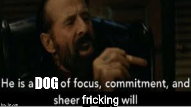 he is a man of focus | DOG fricking | image tagged in he is a man of focus | made w/ Imgflip meme maker