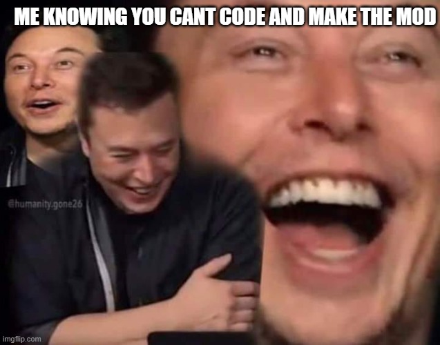 Laughing Elon | ME KNOWING YOU CANT CODE AND MAKE THE MOD | image tagged in laughing elon | made w/ Imgflip meme maker