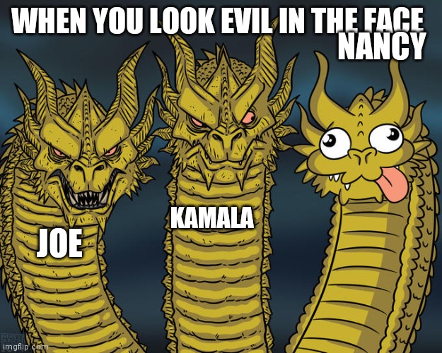 Three-headed Dragon | WHEN YOU LOOK EVIL IN THE FACE; NANCY; KAMALA; JOE | image tagged in three-headed dragon | made w/ Imgflip meme maker