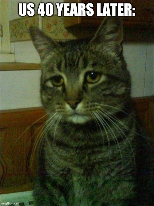 Depressed Cat Meme | US 40 YEARS LATER: | image tagged in memes,depressed cat | made w/ Imgflip meme maker