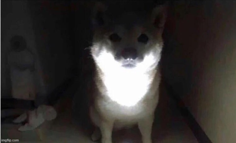 Shibe at 3AM | image tagged in shibe at 3am | made w/ Imgflip meme maker