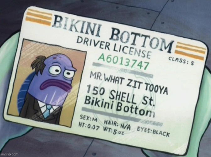 Mr. What Zit Tooya | image tagged in mr what zit tooya | made w/ Imgflip meme maker