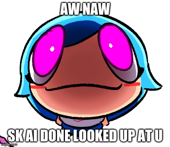 idek | AW NAW; SK AI DONE LOOKED UP AT U | made w/ Imgflip meme maker