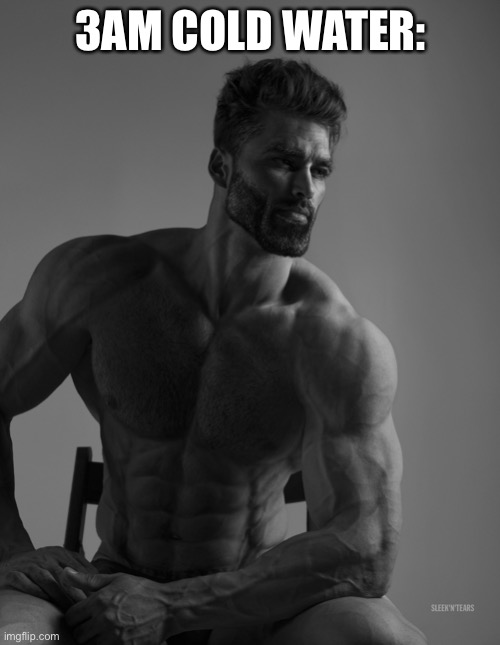 Giga Chad | 3AM COLD WATER: | image tagged in giga chad | made w/ Imgflip meme maker