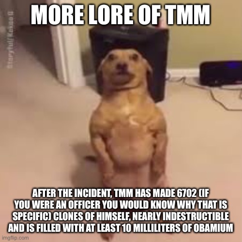 Funni doggo stares into your soul | MORE LORE OF TMM; AFTER THE INCIDENT, TMM HAS MADE 6702 (IF YOU WERE AN OFFICER YOU WOULD KNOW WHY THAT IS SPECIFIC) CLONES OF HIMSELF, NEARLY INDESTRUCTIBLE AND IS FILLED WITH AT LEAST 10 MILLILITERS OF OBAMIUM | image tagged in funni doggo stares into your soul | made w/ Imgflip meme maker