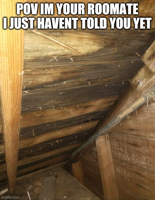 POV IM YOUR ROOMATE I JUST HAVENT TOLD YOU YET | made w/ Imgflip meme maker