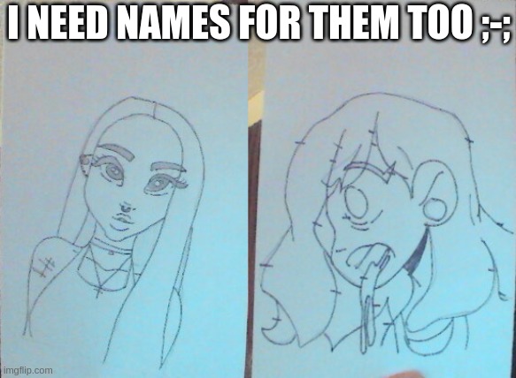 sorry my drawing is bad | I NEED NAMES FOR THEM TOO ;-; | made w/ Imgflip meme maker