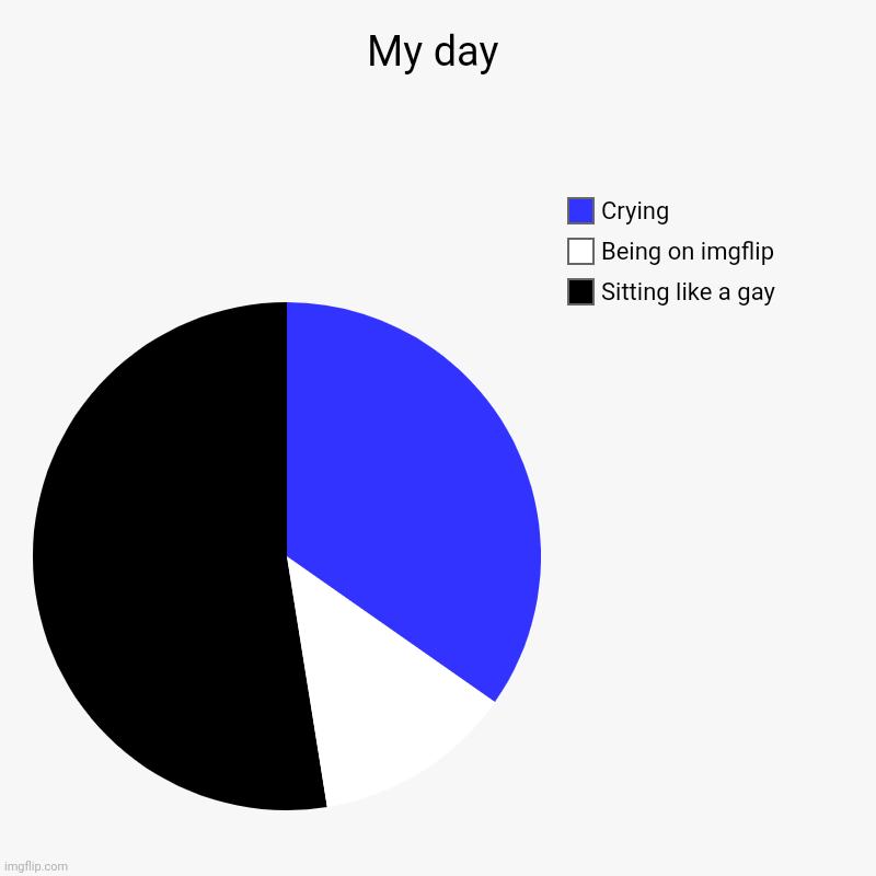 My day | Sitting like a gay, Being on imgflip, Crying | image tagged in charts,pie charts | made w/ Imgflip chart maker