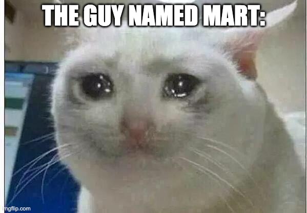 crying cat | THE GUY NAMED MART: | image tagged in crying cat | made w/ Imgflip meme maker