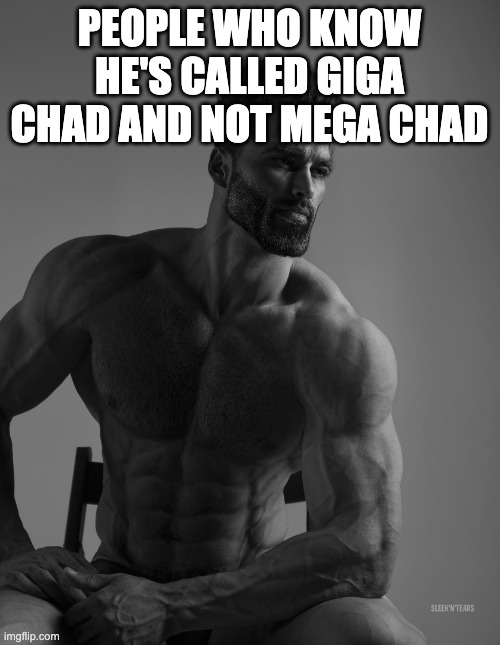 Giga Chad | PEOPLE WHO KNOW HE'S CALLED GIGA CHAD AND NOT MEGA CHAD | image tagged in giga chad | made w/ Imgflip meme maker