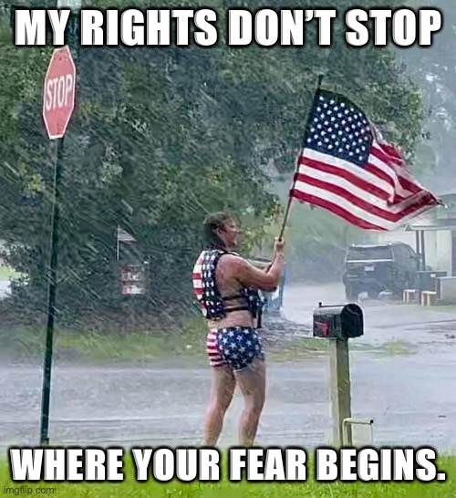 Merica | MY RIGHTS DON’T STOP; WHERE YOUR FEAR BEGINS. | image tagged in freedom,constitution,fear | made w/ Imgflip meme maker