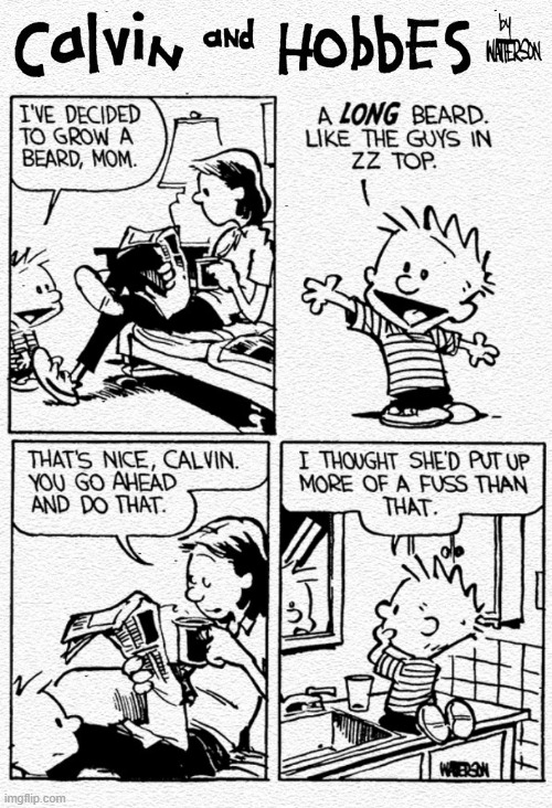 I wonder what Calvin looks like today | image tagged in comics,calvin and hobbes,beard,zz top,parenting,before and after | made w/ Imgflip meme maker
