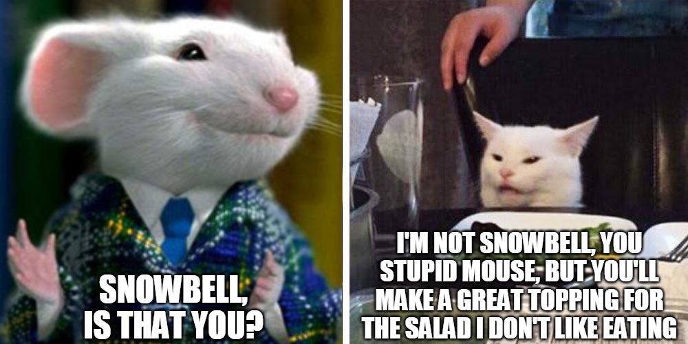 Smudge the cat | SNOWBELL, IS THAT YOU? I'M NOT SNOWBELL, YOU STUPID MOUSE, BUT YOU'LL MAKE A GREAT TOPPING FOR THE SALAD I DON'T LIKE EATING | image tagged in smudge the cat,memes,meme,stuart little | made w/ Imgflip meme maker