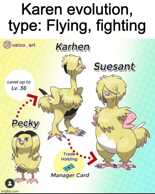 Karen evolution, type: Flying, fighting | image tagged in karen,pokemon,lol | made w/ Imgflip meme maker