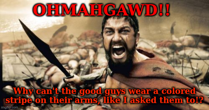 Spartacus -fail-. | OHMAHGAWD!! Why can't the good guys wear a colored stripe on their arms, like I asked them to!? | image tagged in memes,sparta leonidas | made w/ Imgflip meme maker