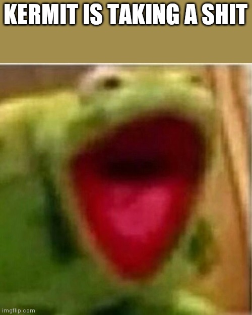 AHHHHHHHHHHHHH | KERMIT IS TAKING A SHIT | image tagged in ahhhhhhhhhhhhh | made w/ Imgflip meme maker