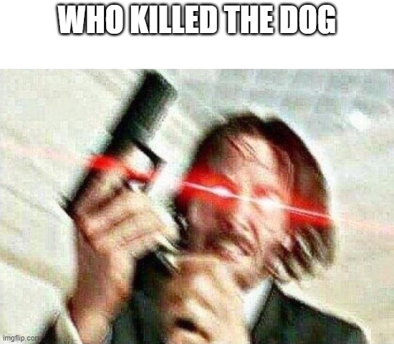 John Wick | WHO KILLED THE DOG | image tagged in john wick | made w/ Imgflip meme maker