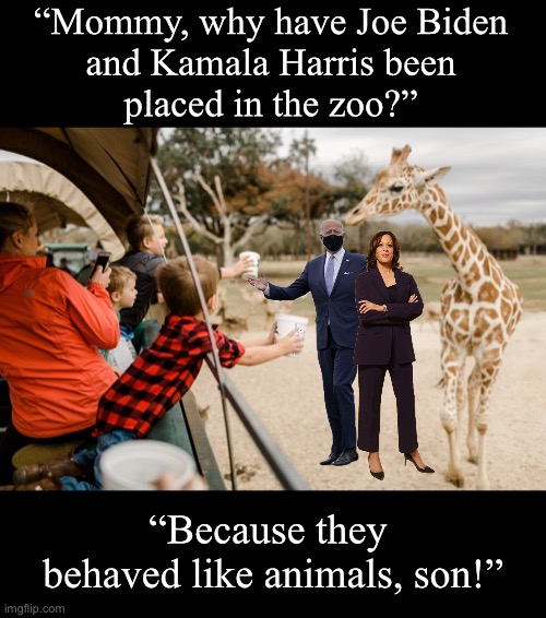 The zoo. | “Mommy, why have Joe Biden
and Kamala Harris been
placed in the zoo?”; “Because they 
behaved like animals, son!” | image tagged in joe biden,creepy joe biden,biden,kamala harris,zoo | made w/ Imgflip meme maker