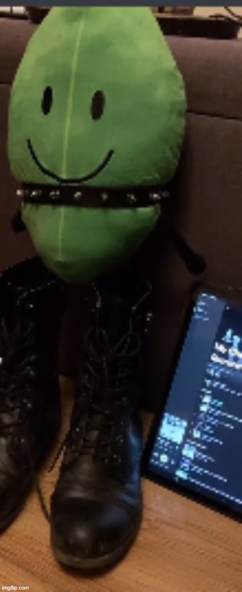 fanon leafy | made w/ Imgflip meme maker