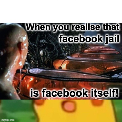 Matrix Facebook | When you realise that; facebook jail; is facebook itself! | image tagged in matrix facebook | made w/ Imgflip meme maker