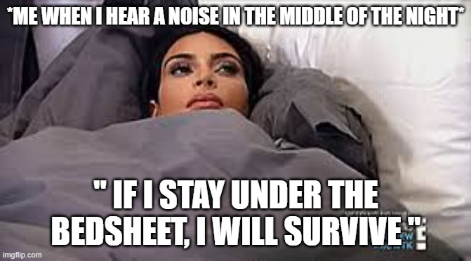 anti-devil bedsheet | *ME WHEN I HEAR A NOISE IN THE MIDDLE OF THE NIGHT*; " IF I STAY UNDER THE BEDSHEET, I WILL SURVIVE " | image tagged in kim kardashian in bed | made w/ Imgflip meme maker