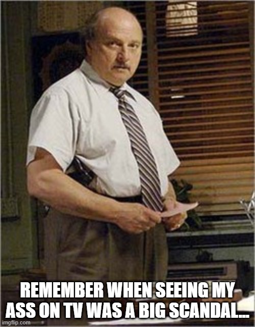 NYPD Butt |  REMEMBER WHEN SEEING MY ASS ON TV WAS A BIG SCANDAL... | image tagged in 1990s | made w/ Imgflip meme maker