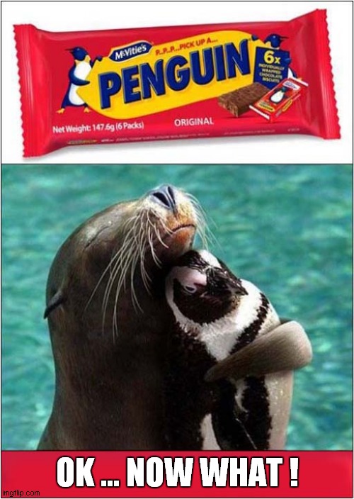 Some Slogans Work ! | OK ... NOW WHAT ! | image tagged in fun,vintage ads,penguin,seal | made w/ Imgflip meme maker