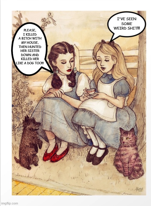 dorthy alice |  PLEASE, I KILLED A BITCH WITH MY HOUSE, THEN HUNTED HER SISTER DOWN AND KILLED HER LIKE A DOG TOO!!! I'VE SEEN SOME WEIRD SHIT!!! | image tagged in alice in wonderland,wizard of oz | made w/ Imgflip meme maker