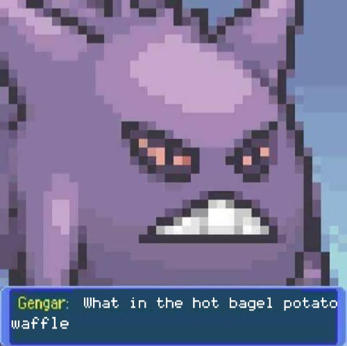What in the hot bagel potato waffle Blank Meme Template