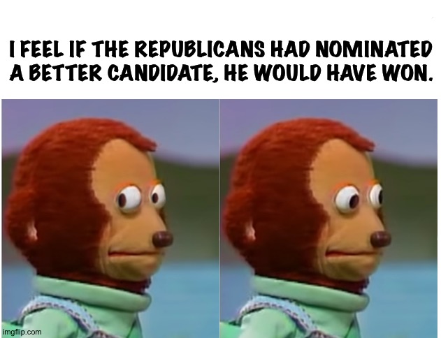Monkey puppet looking away good quality | I FEEL IF THE REPUBLICANS HAD NOMINATED A BETTER CANDIDATE, HE WOULD HAVE WON. | image tagged in monkey puppet looking away good quality | made w/ Imgflip meme maker