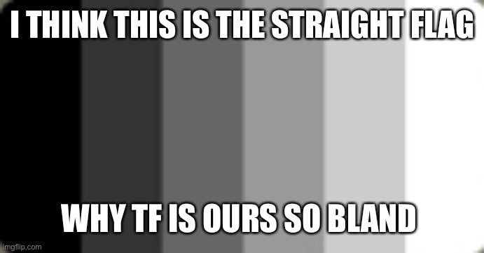 I might be wrong tho | I THINK THIS IS THE STRAIGHT FLAG; WHY TF IS OURS SO BLAND | made w/ Imgflip meme maker