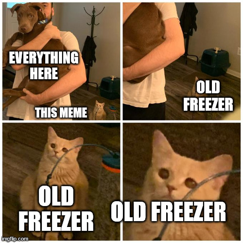 sad cat dog hold | THIS MEME EVERYTHING HERE OLD FREEZER OLD FREEZER OLD FREEZER | image tagged in sad cat dog hold | made w/ Imgflip meme maker