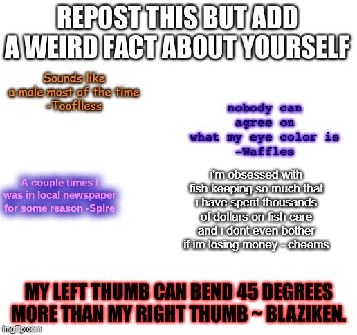 i'm obsessed with fish keeping so much that i have spent thousands of dollars on fish care and i dont even bother if im losing money - cheems | made w/ Imgflip meme maker