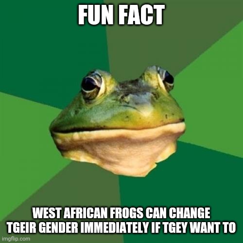 Learned this on Jurrassic Park(lol transgender frogs) | FUN FACT; WEST AFRICAN FROGS CAN CHANGE TGEIR GENDER IMMEDIATELY IF TGEY WANT TO | image tagged in memes,foul bachelor frog | made w/ Imgflip meme maker