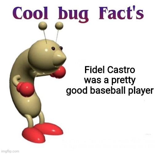 Cool Bug Facts | Fidel Castro was a pretty good baseball player | image tagged in cool bug facts | made w/ Imgflip meme maker