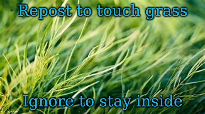 Repost to touch grass; Ignore to stay inside | made w/ Imgflip meme maker
