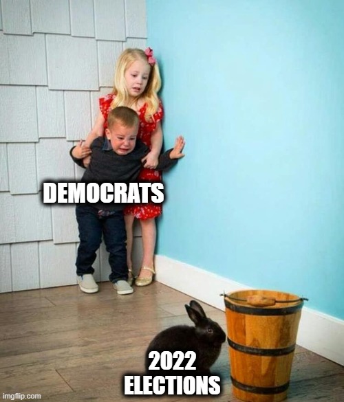 Tuesday, November 8, 2022 | DEMOCRATS; 2022 ELECTIONS | image tagged in children scared of rabbit,memes,democrats,2022,elections | made w/ Imgflip meme maker
