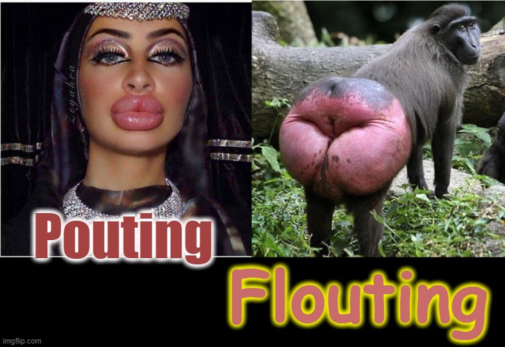 Pout ! |  Pouting; Flouting | image tagged in pinkie pie | made w/ Imgflip meme maker