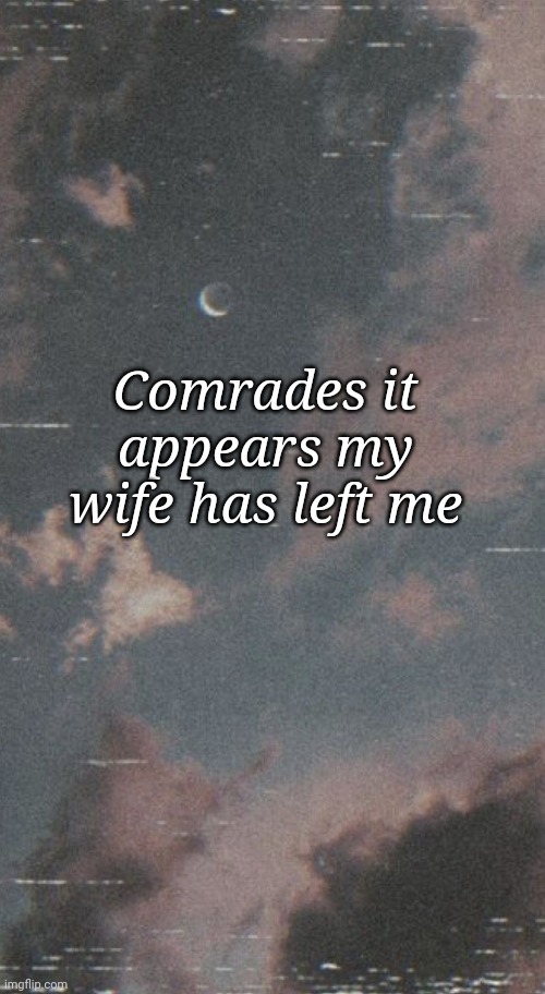 Post breakup memes | Comrades it appears my wife has left me | image tagged in sadness | made w/ Imgflip meme maker