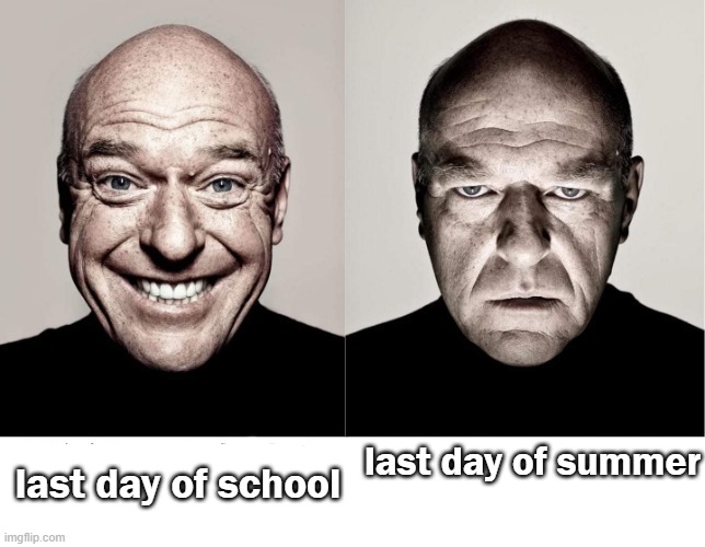 sorry i wasn't posting any memes. i was busy crying because my summer is about to be taken away from me. | last day of school; last day of summer | image tagged in breaking bad smile frown | made w/ Imgflip meme maker