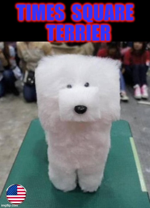 Times Square Terrier | TIMES  SQUARE
  TERRIER | image tagged in a surprise to be sure | made w/ Imgflip meme maker