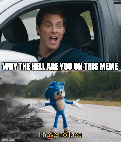 Sonic I have no idea | WHY THE HELL ARE YOU ON THIS MEME | image tagged in sonic i have no idea | made w/ Imgflip meme maker