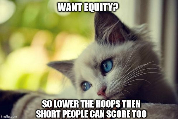 First World Problems Cat Meme |  WANT EQUITY? SO LOWER THE HOOPS THEN SHORT PEOPLE CAN SCORE TOO | image tagged in memes,first world problems cat | made w/ Imgflip meme maker