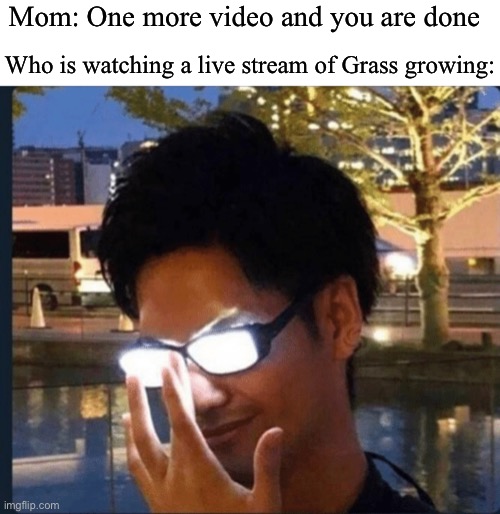 Go Grass Go! | Mom: One more video and you are done; Who is watching a live stream of Grass growing: | image tagged in anime glasses | made w/ Imgflip meme maker
