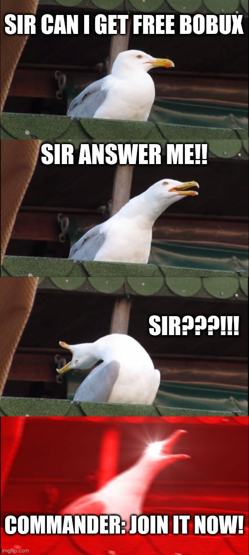 the join my group MEME! | SIR CAN I GET FREE BOBUX; SIR ANSWER ME!! SIR???!!! COMMANDER: JOIN IT NOW! | image tagged in memes,inhaling seagull | made w/ Imgflip meme maker