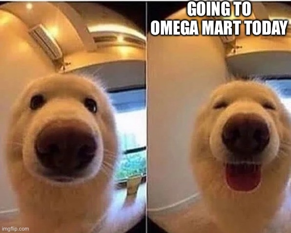 wholesome doggo | GOING TO OMEGA MART TODAY | image tagged in wholesome doggo | made w/ Imgflip meme maker