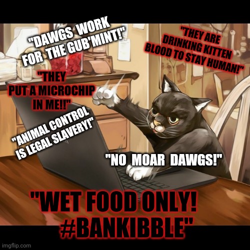When your password is your cat's name. | "THEY ARE DRINKING KITTEN BLOOD TO STAY HUMAN!"; "DAWGS  WORK  FOR  THE GUB'MINT!"; "THEY PUT A MICROCHIP IN ME!!"; "ANIMAL CONTROL IS LEGAL SLAVERY!"; "NO  MOAR  DAWGS!"; "WET FOOD ONLY!     
 #BANKIBBLE" | image tagged in cats,internet,meow,conspiracy theory,qanon,stupid | made w/ Imgflip meme maker