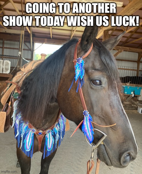 Excited | GOING TO ANOTHER SHOW TODAY WISH US LUCK! | image tagged in excited | made w/ Imgflip meme maker