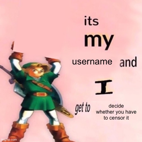 It's my ___ and I get to ____. | username; decide whether you have to censor it | image tagged in it's my ___ and i get to ____ | made w/ Imgflip meme maker